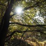 Die Kraft der Multiplikation