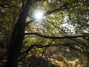 Die Kraft der Multiplikation