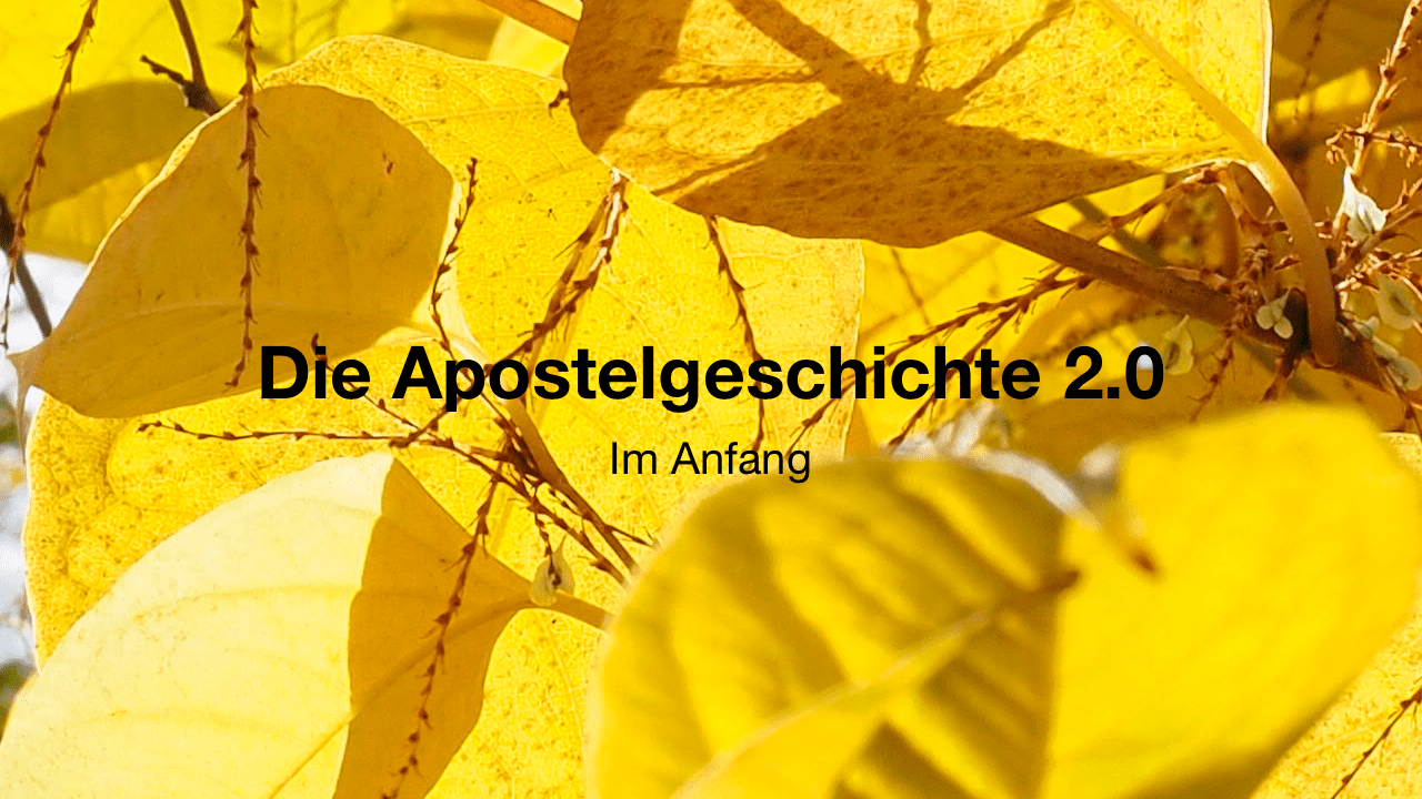 Die Apostelgeschichte 2.0